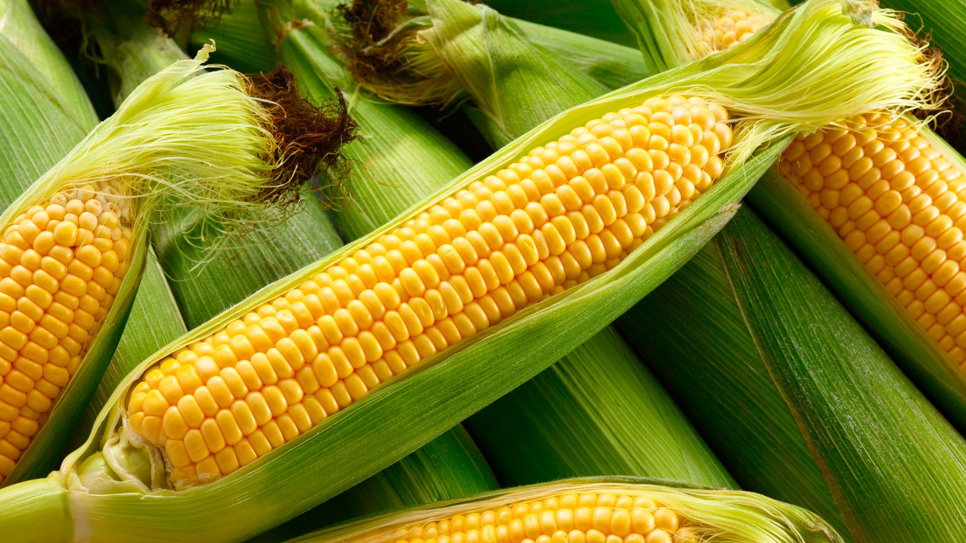 Ngô nếp cung cấp tinh bột tự nhiên, vitamin và khoáng chất giúp duy trì năng lượng