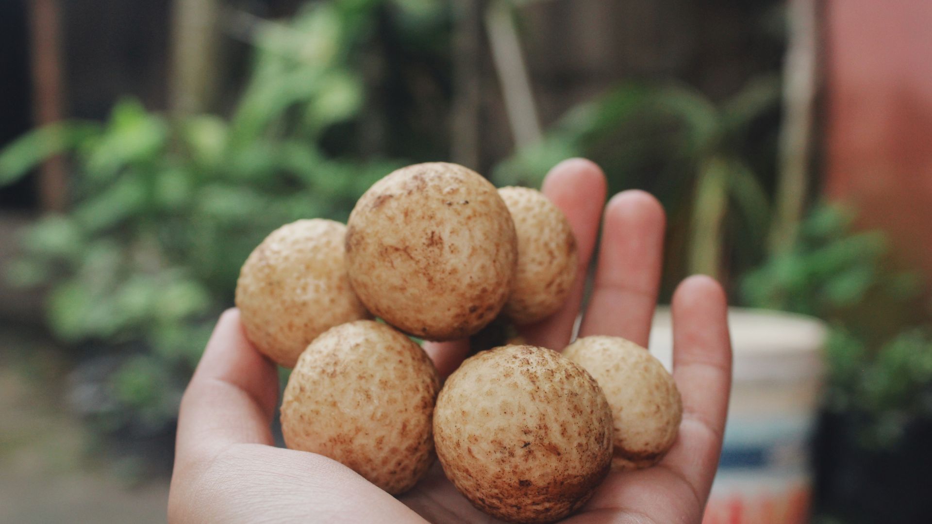 Ăn nhiều nhãn có thể gây ra tác động không tốt cho sức khỏe