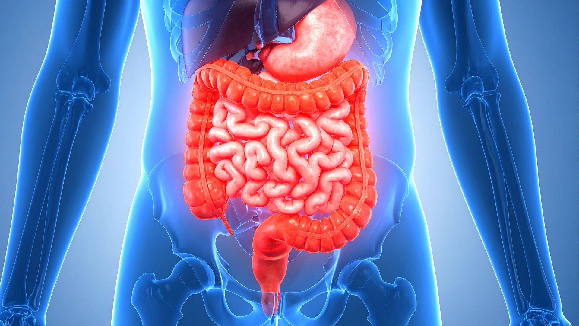 Ăn ổi với số lượng lớn có thể ảnh hưởng xấu đến hệ tiêu hóa