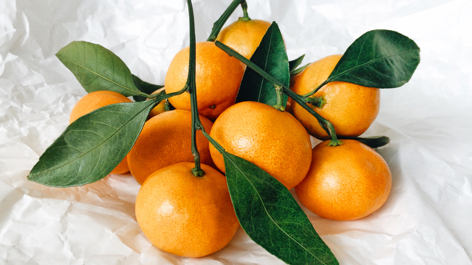 Ăn quýt có tác dụng gì? Quýt không chỉ là một loại trái cây giải khát mà còn góp phần hỗ trợ nhiều hoạt động quan trọng của cơ thể