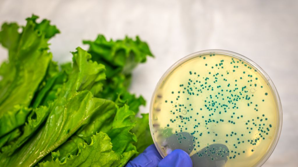 Ăn rau sống bị tiêu chảy: Nguyên nhân và cách khắc phục 2