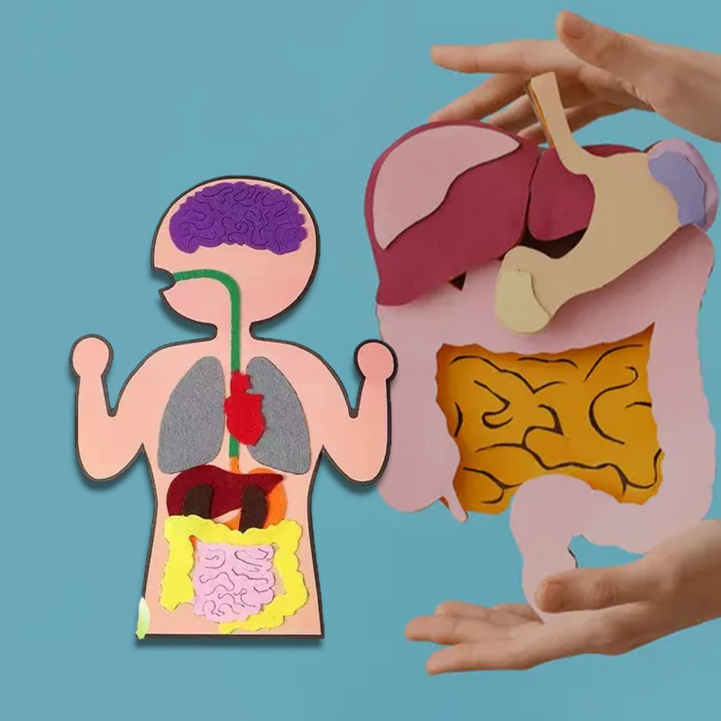 Ăn sầu riêng với lượng vừa phải giúp hỗ trợ tiêu hóa ổn định