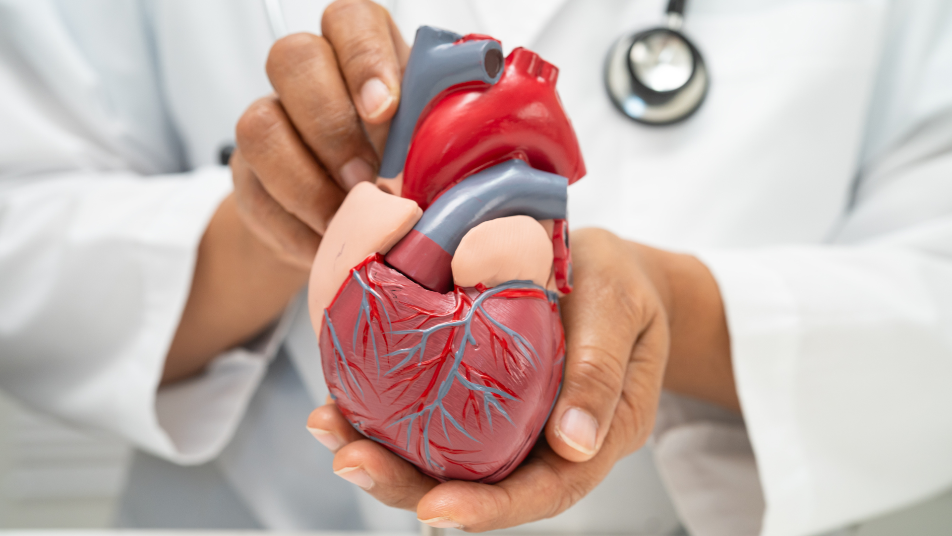 Ăn trứng cung cấp vitamin B12 và folate, giúp hỗ trợ chuyển hóa và góp phần bảo vệ tim mạch