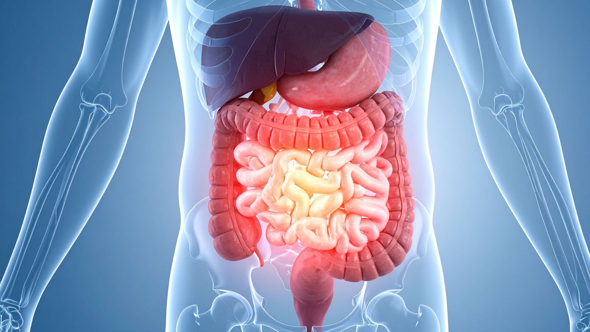 Rối loạn tiêu hóa có thể là nguyên nhân gây đau bụng dưới sau khi ăn