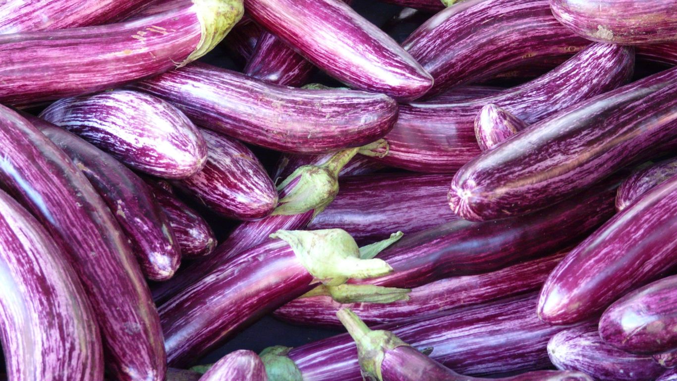 ba-bau-an-ca-tim-duoc-khong 3