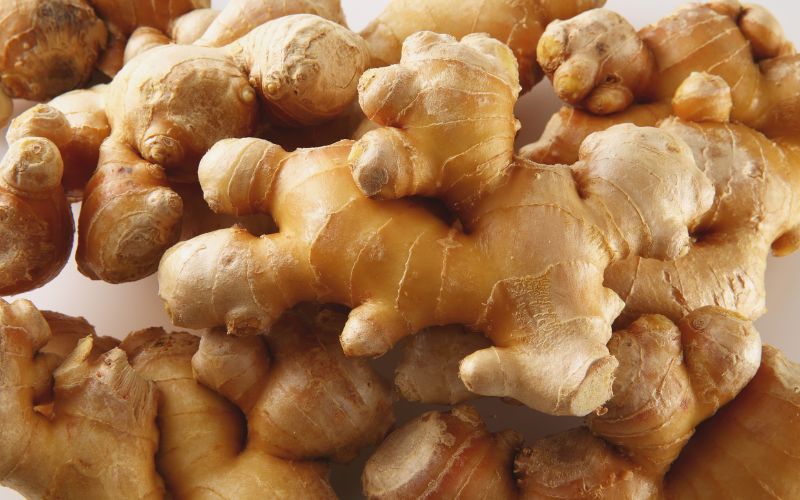 Bầu ăn gừng được không là boăn khoăn của nhiều ngừời