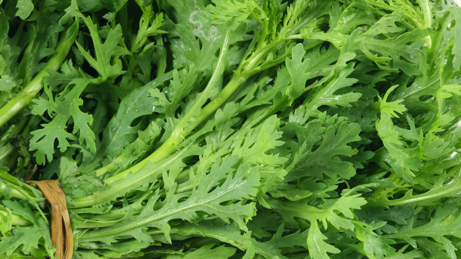 Bà bầu ăn rau tần ô được không?