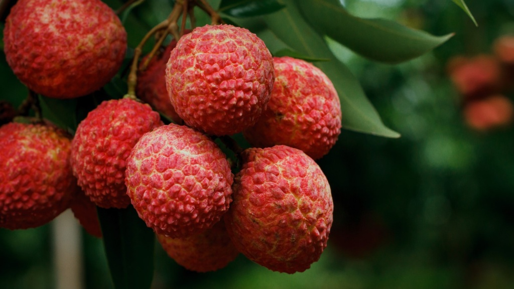 ba-bau-an-vai-duoc-khong-nhung-luu-y-quan-trong-me-can-biet 4.jpg