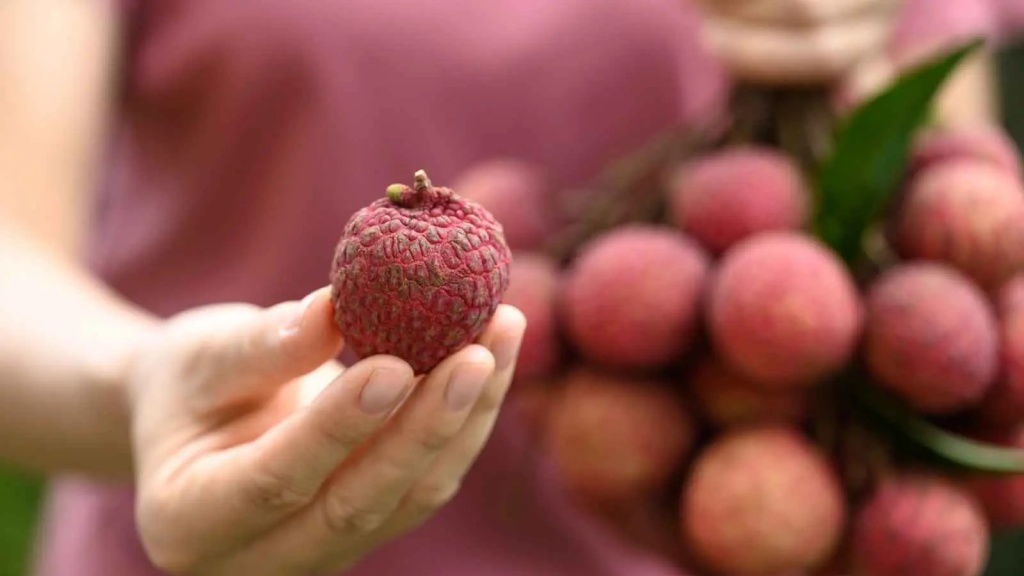 ba-bau-an-vai-duoc-khong-nhung-luu-y-quan-trong-me-can-biet 5.jpg