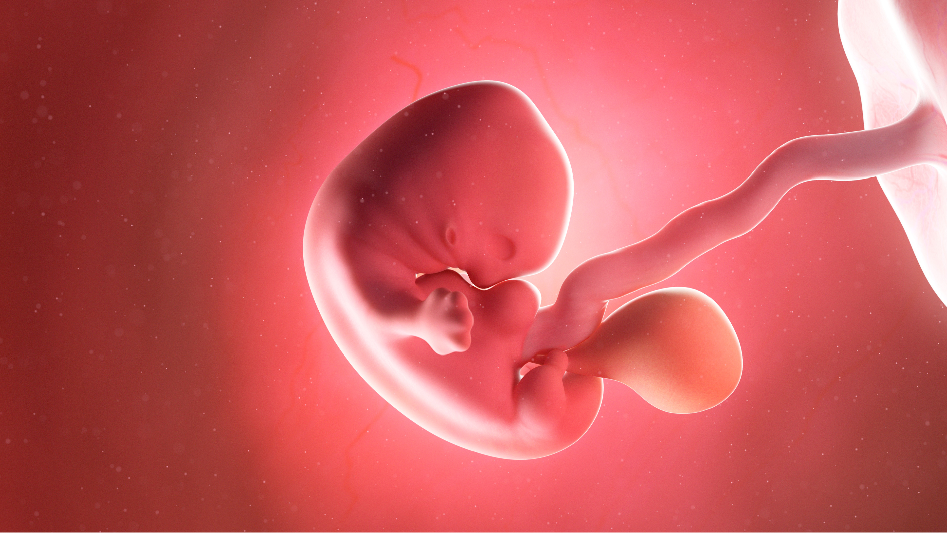 ba-bau-bi-cam-cum-thang-thu-6-co-nguy-hiem-khong-bien-phap-phong-ngua-cum-hieu-qua (3).png