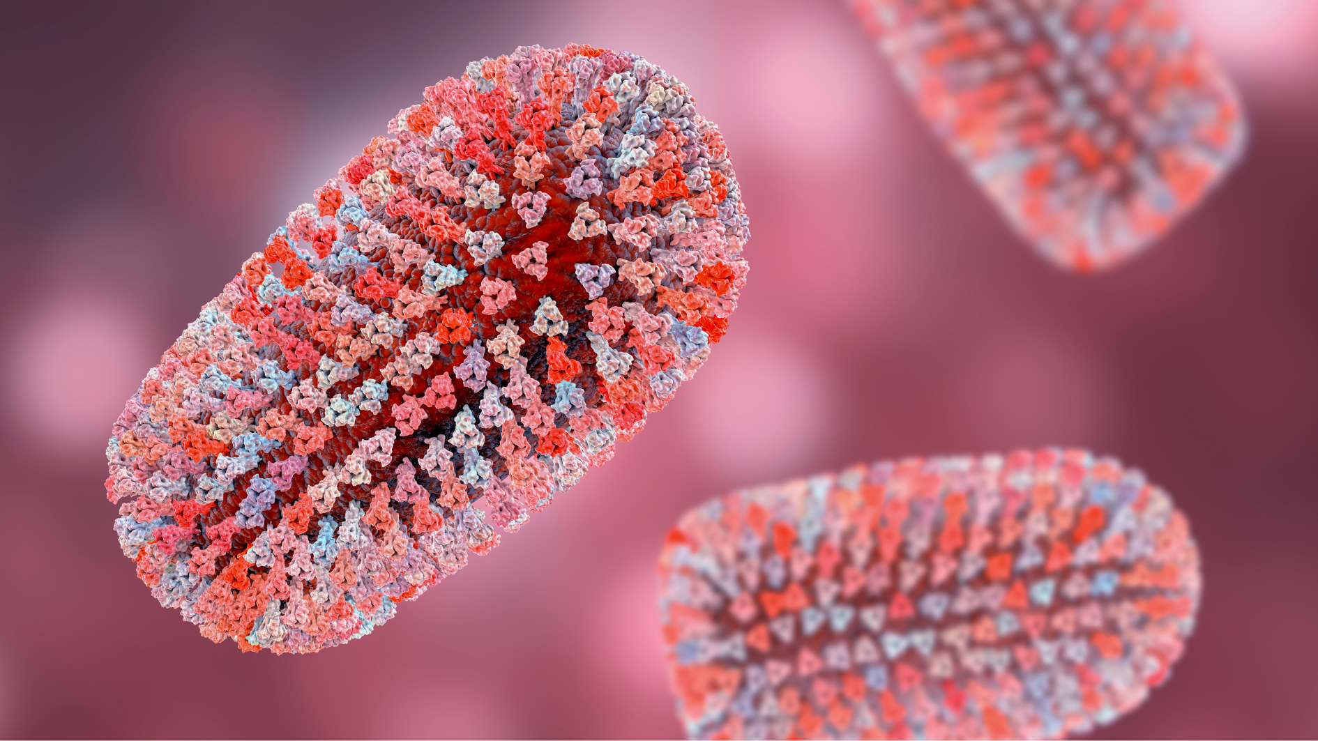 ba-bau-bi-cho-can-co-sao-khong-can-tiem-phong-khong 2.png