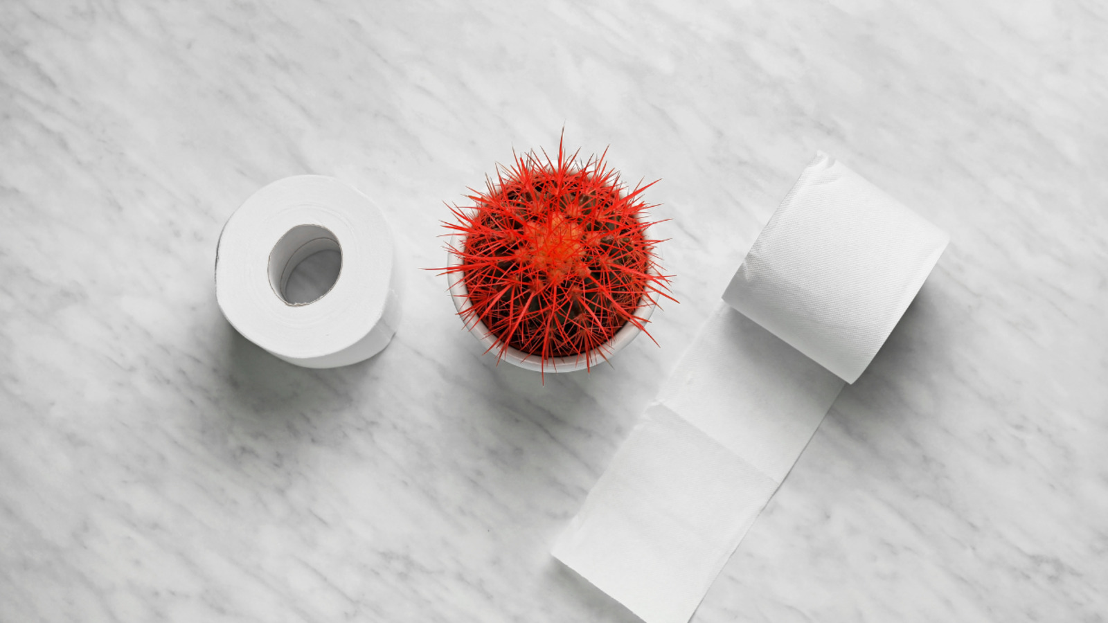 Chảy máu khi đi vệ sinh là dấu hiệu phổ biến của trĩ thường xuất hiện dưới dạng máu đỏ tươi dính trên giấy
