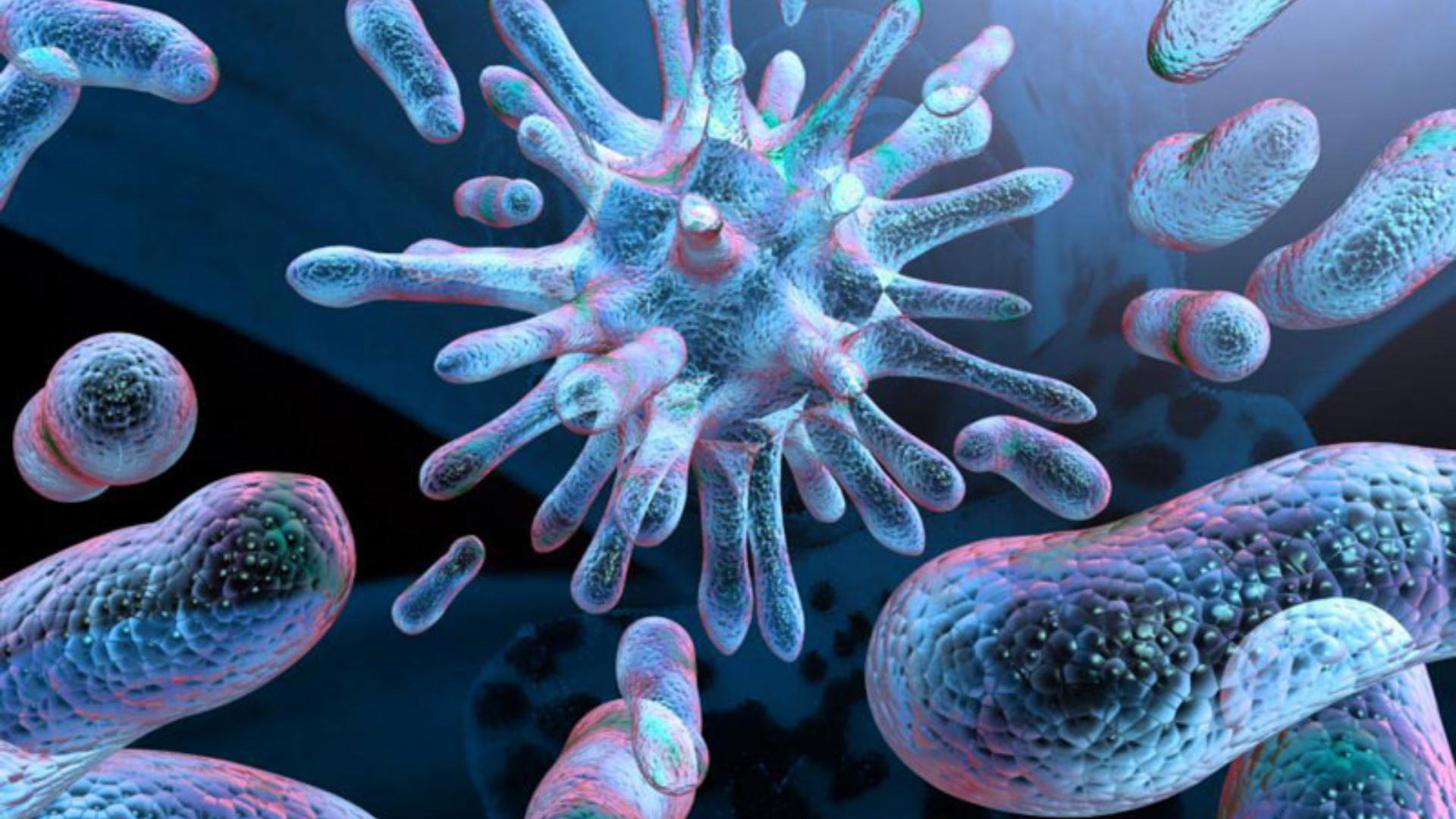 Mẹ bầu dễ bị viêm phế quản khi dịch nhầy tích tụ, vi khuẩn và virus có điều kiện phát triển