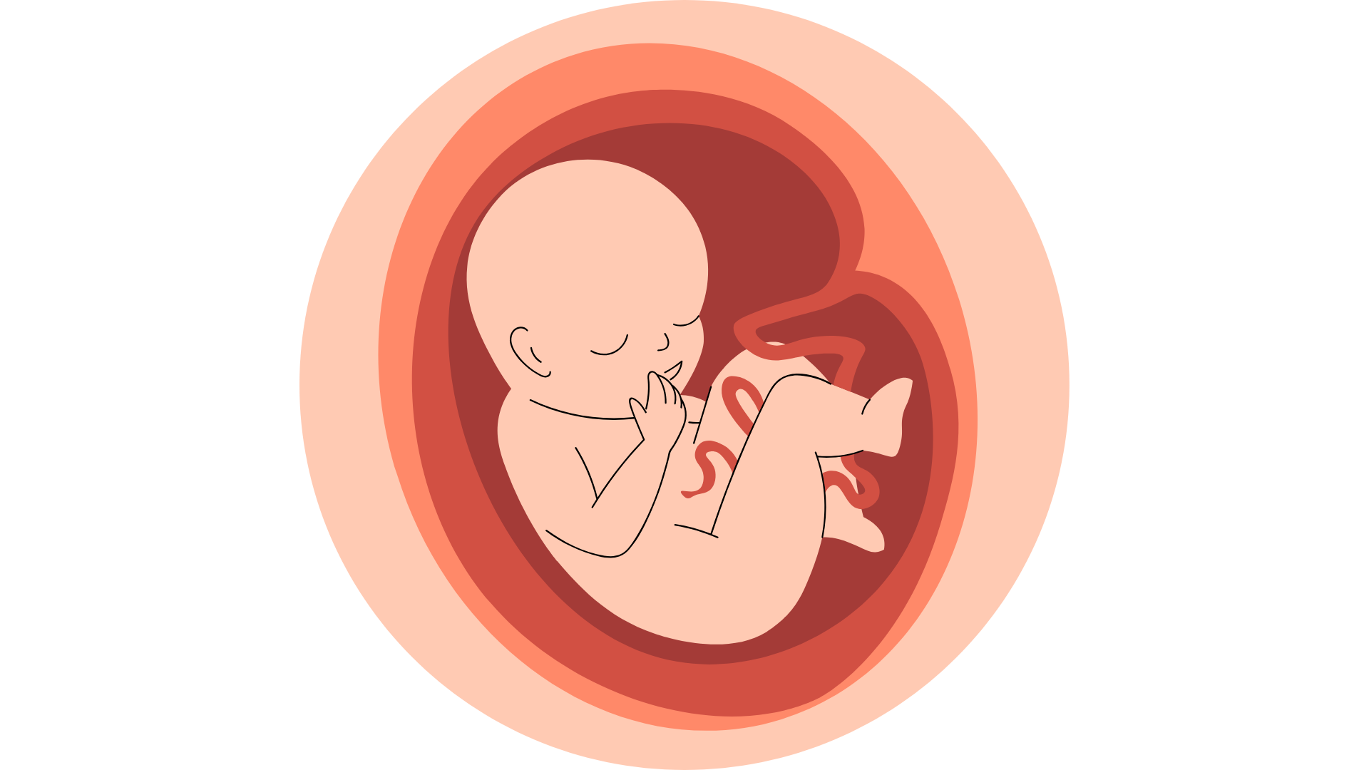 Bà bầu cần làm gì khi thai nhi bị nấc? Giải đáp chi tiết và hướng dẫn xử lý đúng cách2
