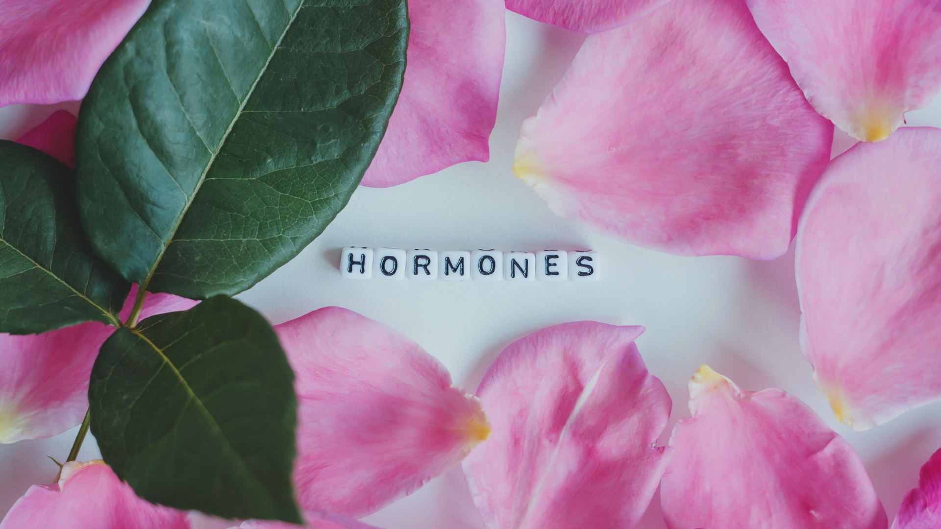 Sực thay đổi hormone khiến tuyến bà nhờn hoạt động mạnh hơn, dễ gây bít tắc lỗ chân lông và hình thành mụn