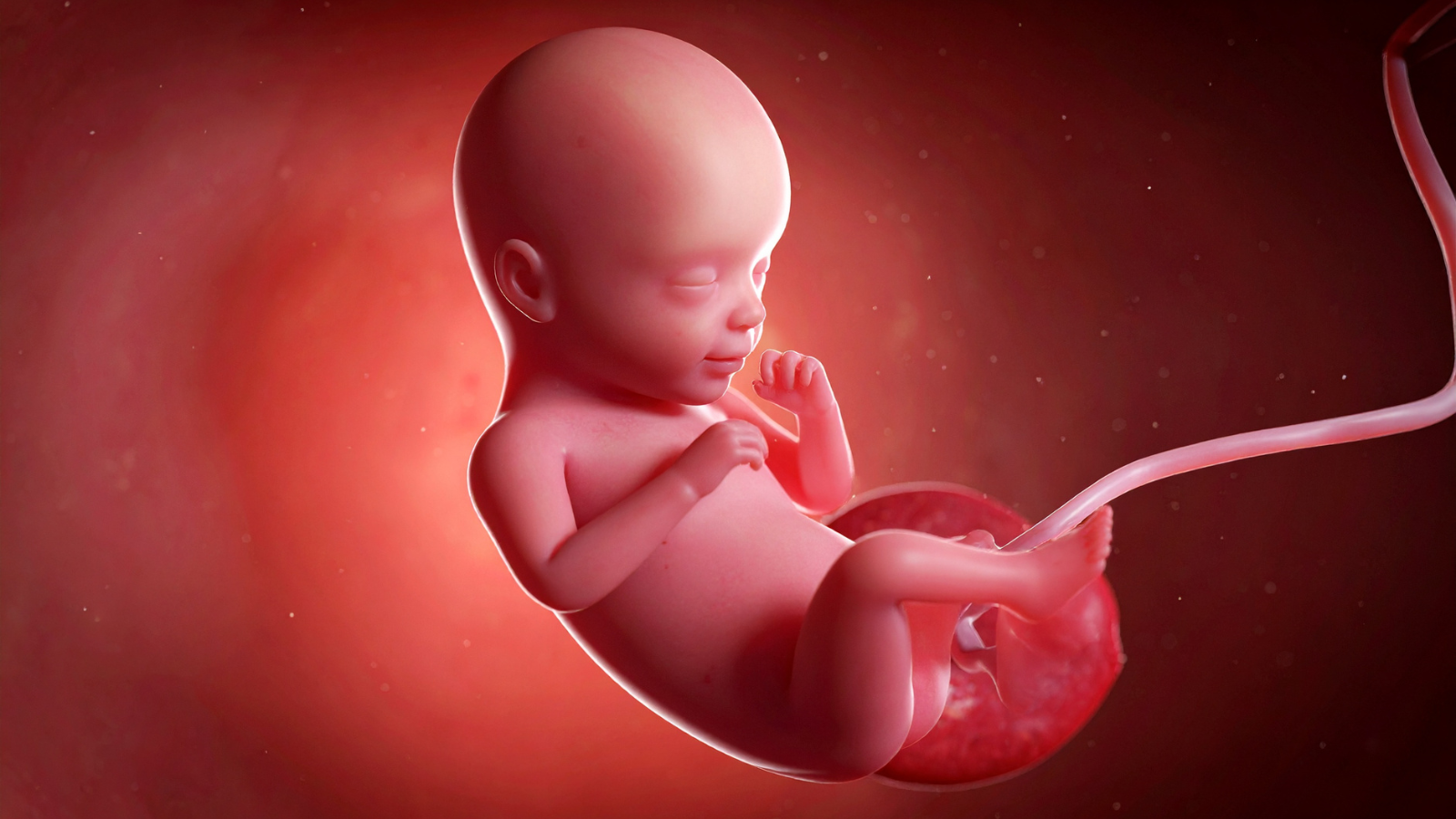 Massage chân trong thai kỳ tạo môi trường phát triển tốt cho thai nhi