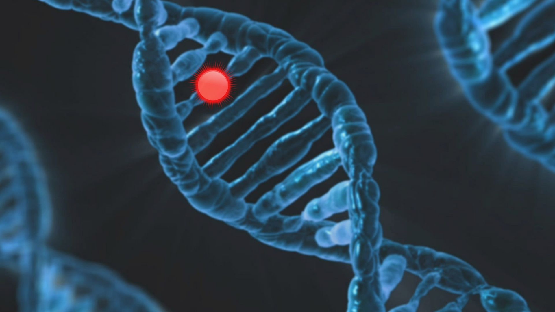 Bệnh bạch cầu cấp có yếu tố di truyền