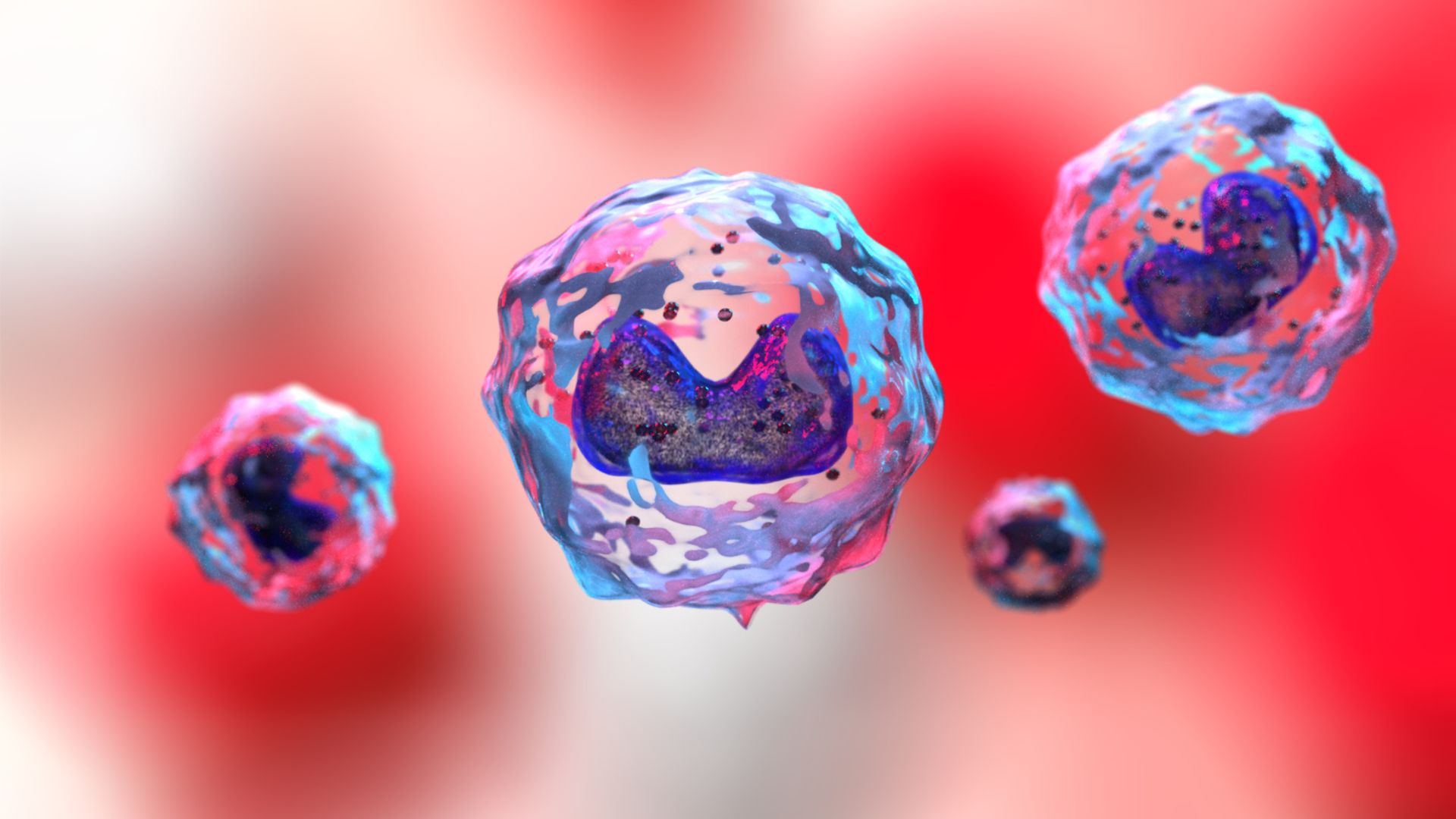 Bạch cầu đơn nhân là gì? Vai trò, chỉ số bình thường và các rối loạn thường gặp 1