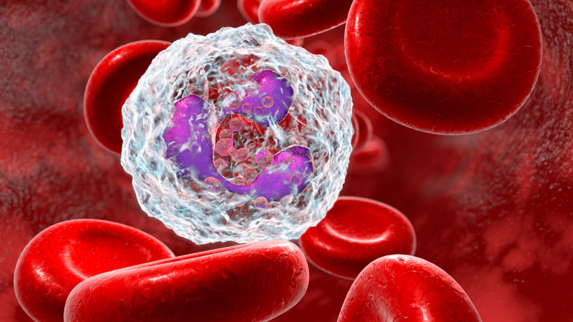 Bạch cầu lympho là một loại tế bào bạch cầu thuộc hệ thống miễn dịch của cơ thể