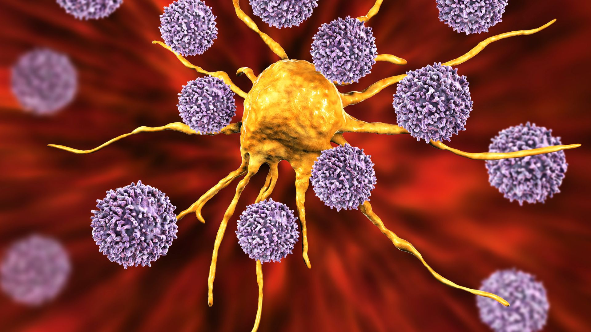 Tế bào lympho T có khả năng nhận diện kháng nguyên lạ