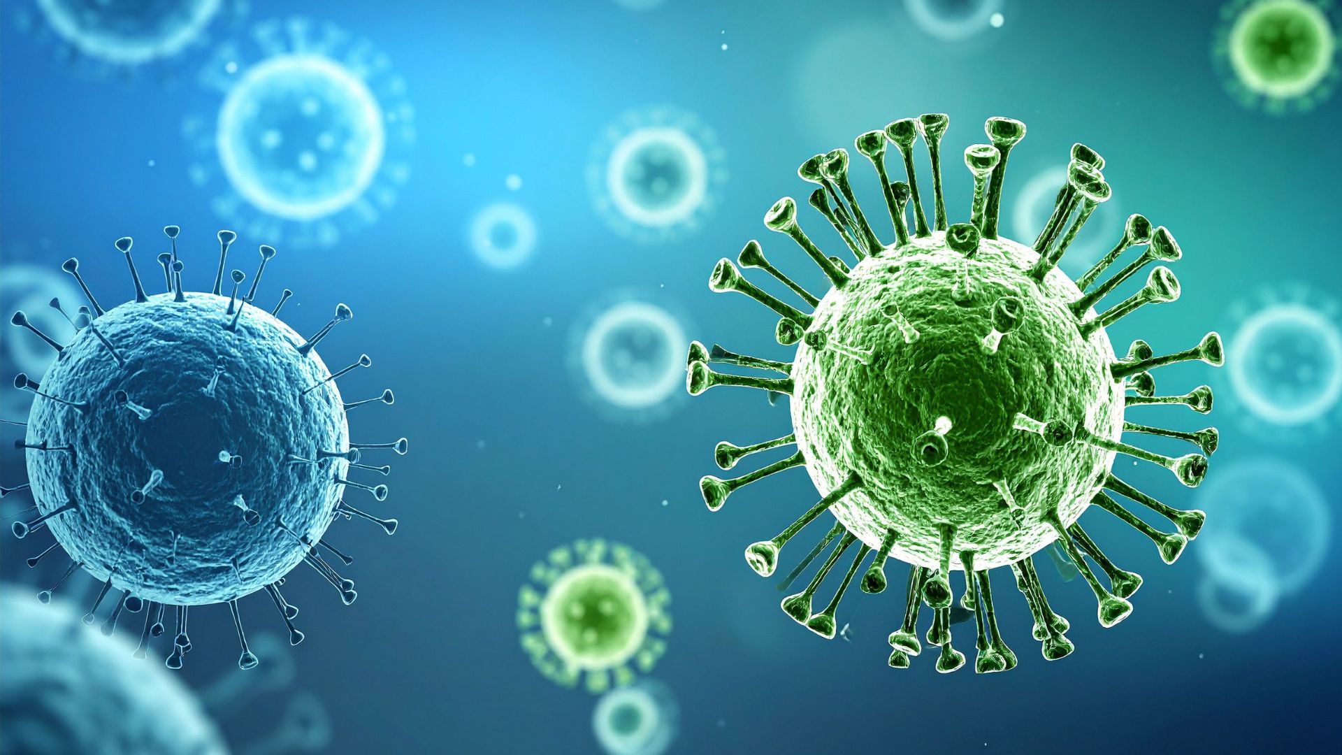 Nhiễm virus làm tăng số lượng bạch cầu lympho trong máu