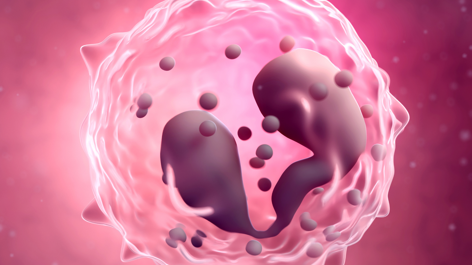 Nguyên nhân thường gặp làm bạch cầu ưa axit tăng