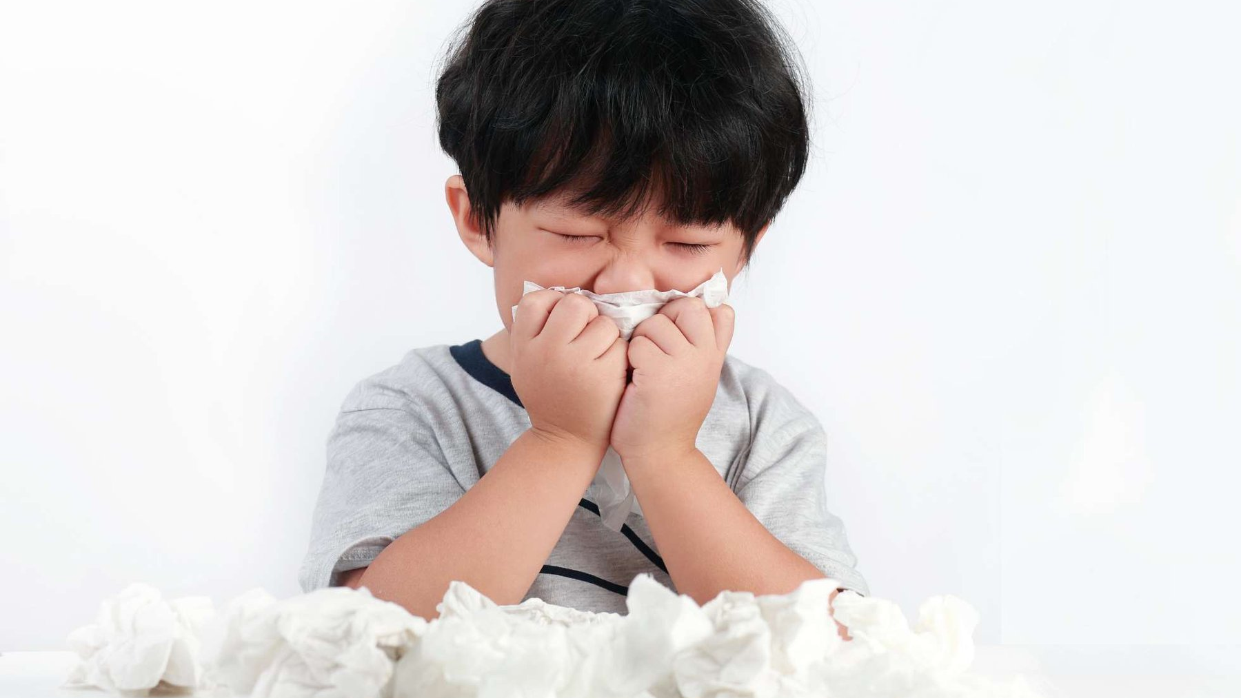 Bạch hầu ở mũi 1