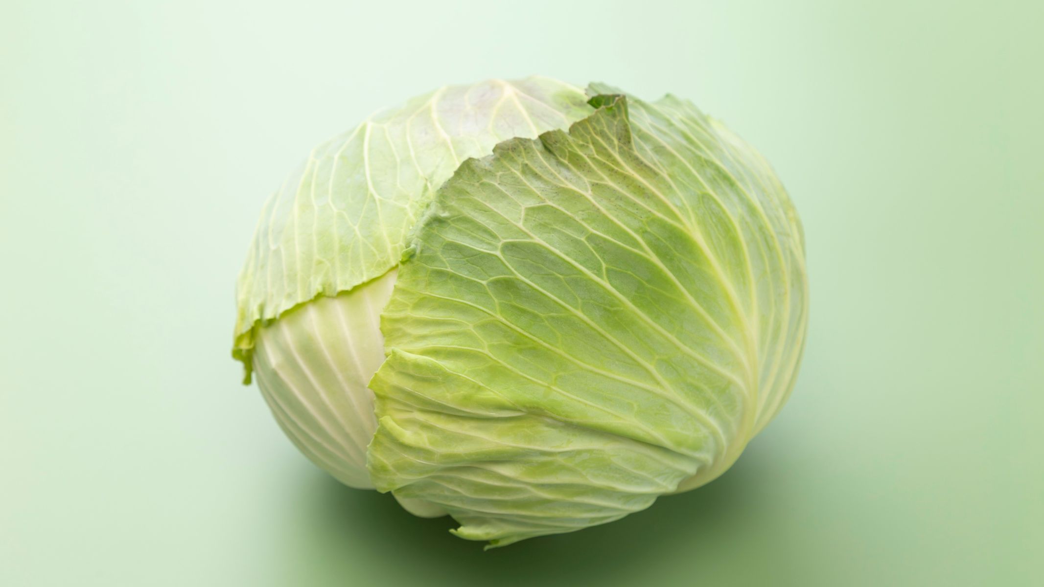 Bắp cải bao nhiêu calo?