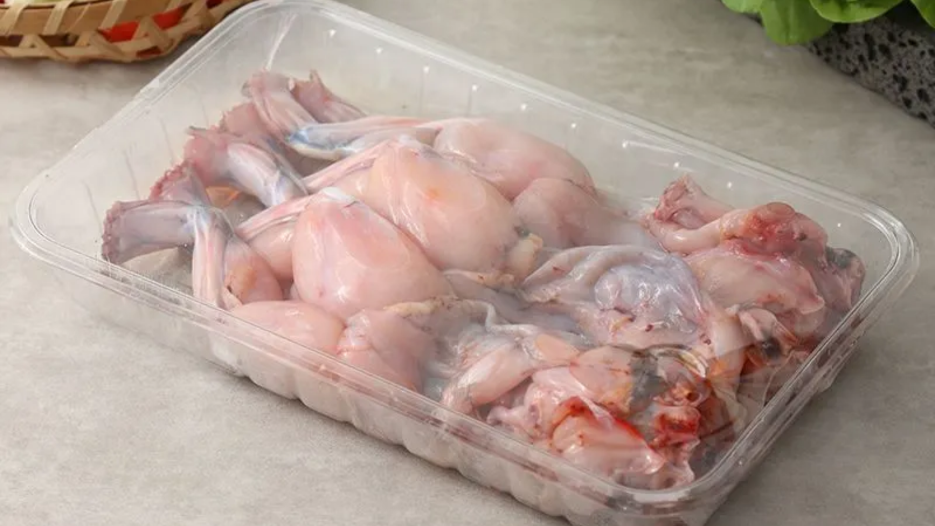 Protein trong thịt ếch còn hỗ trợ phát triển các cơ quan quan trọng của thai nhi