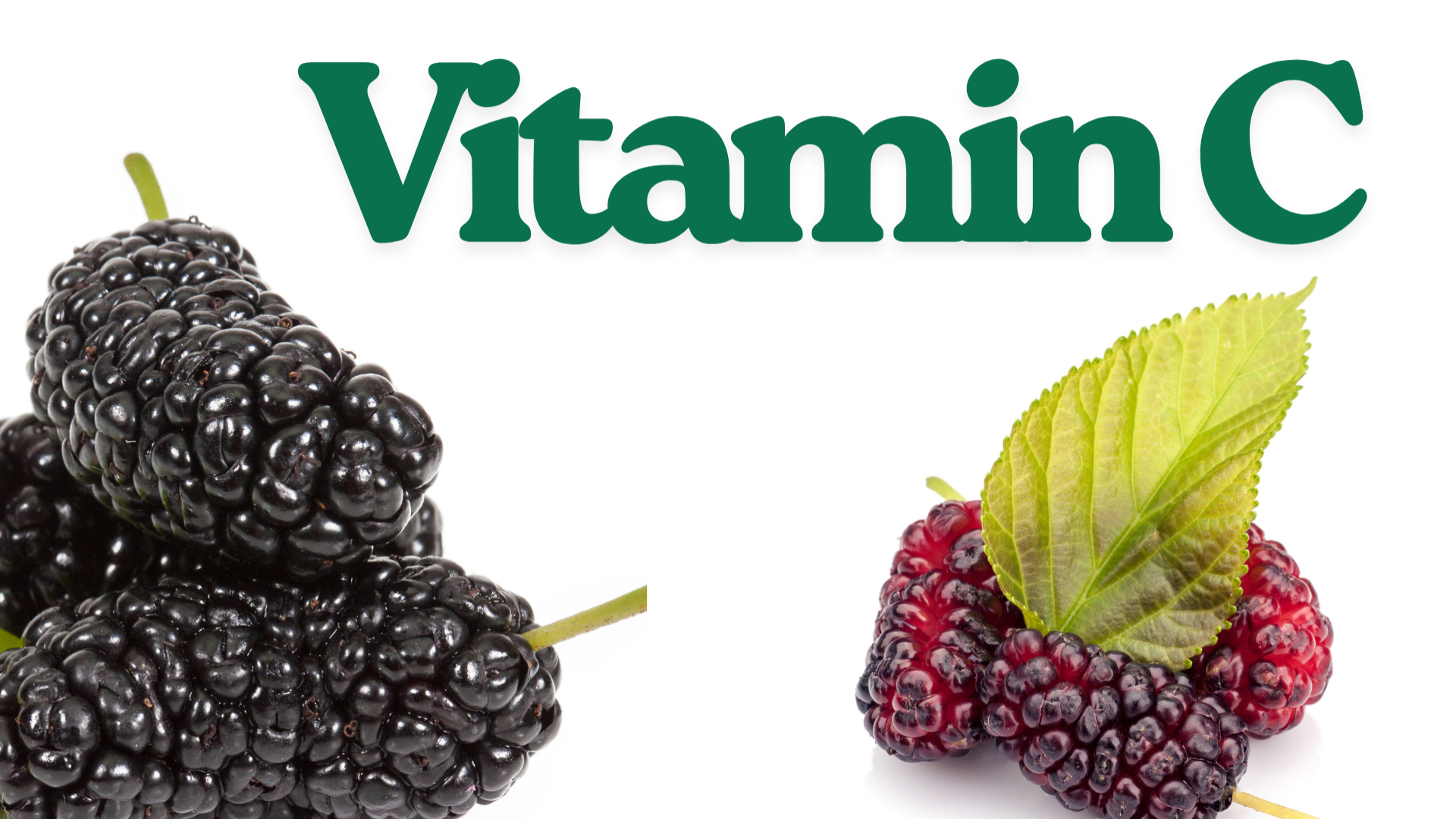 Vitamin C trong dâu tằm có vai trò quan trọng giúp mẹ bầu tăng cường hệ miễn dịch, giảm nguy cơ mắc cảm cúm trong thai kỳ