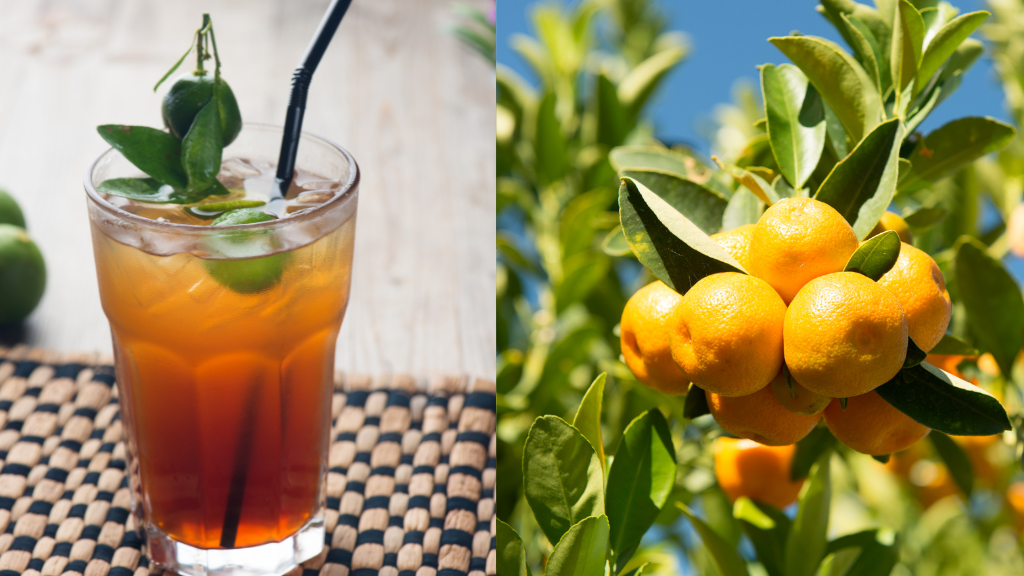 Mẹ bầu uống trà tắc được không? Câu trả lời là có thể uống, nhưng không nên uống thường xuyên