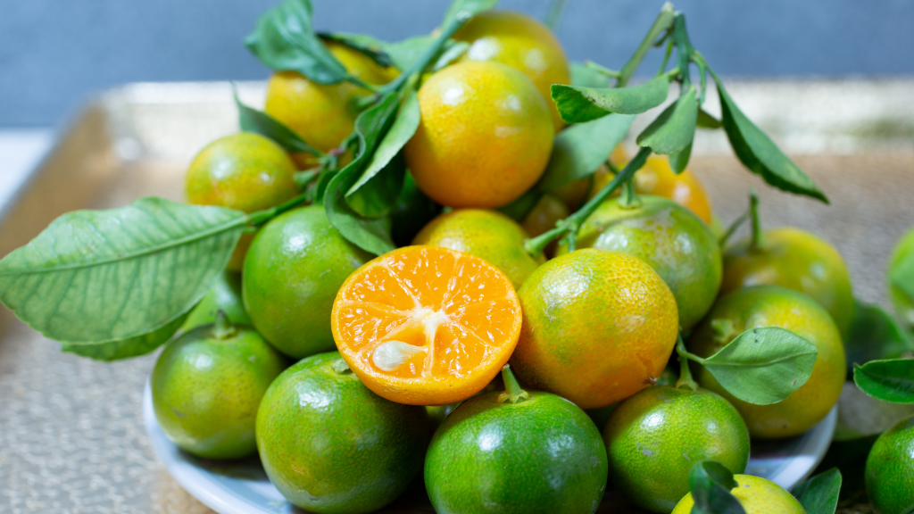 Vị chua nhẹ của tắc giúp kích thích tuyến nước bọt, từ đó giảm cảm giác buồn nôn và khô miệng