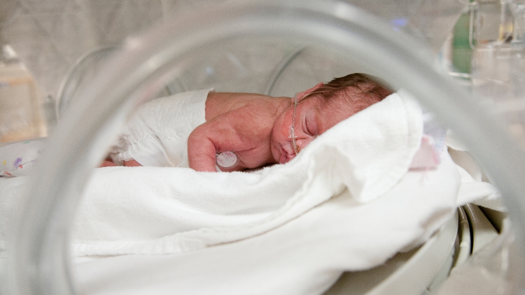 Bé 8 tháng chưa mọc răng có sao không? Nguyên nhân và cách xử lý hiệu quả 2