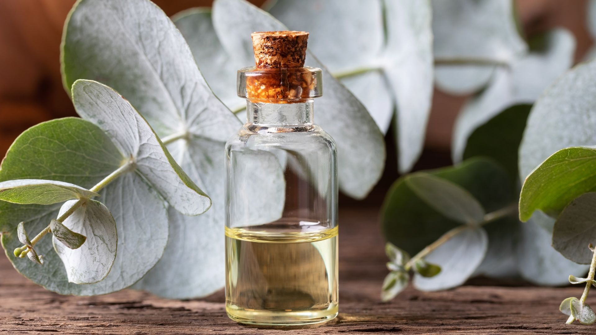 Mẹ hãy lựa chọn loại dầu tràm có nguồn gốc rõ ràng để đảm bảo an toàn cho sức khỏe bé