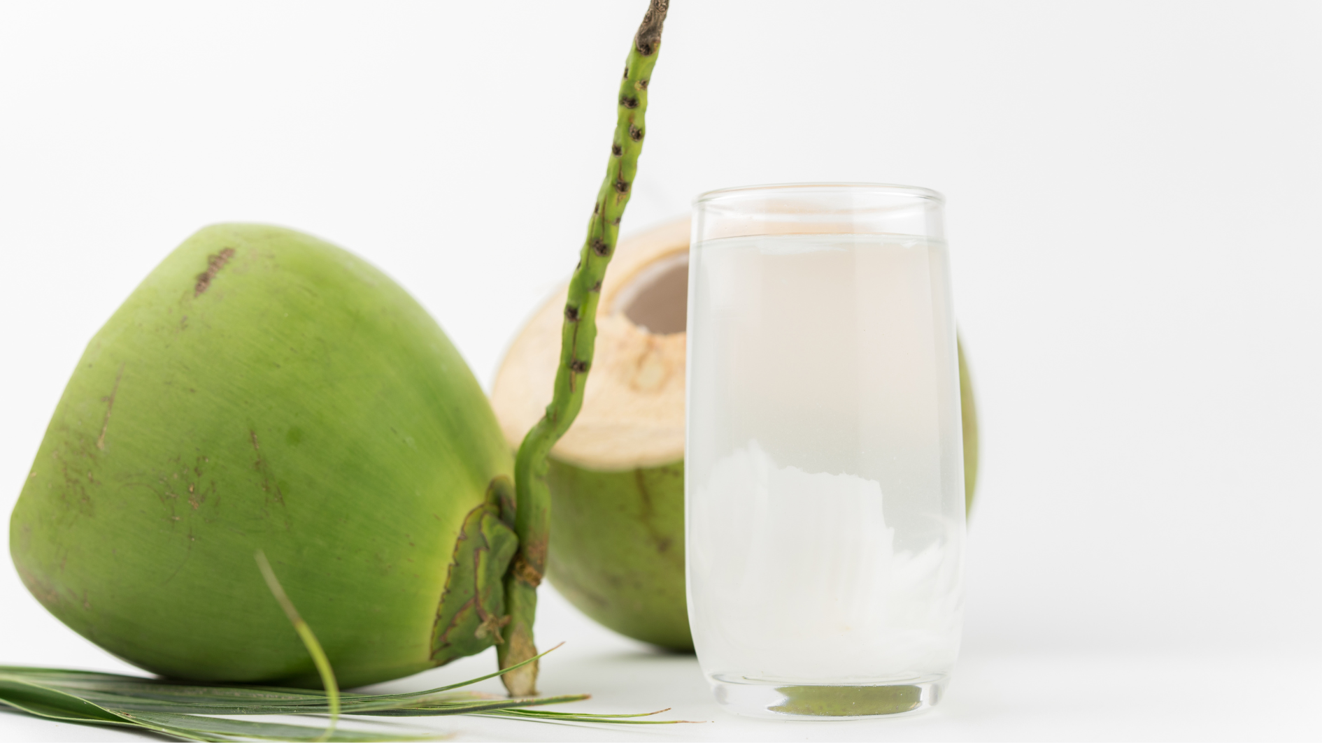 be-bi-tay-chan-mieng-nen-an-gi 1.png