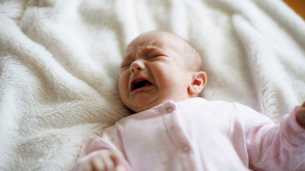 Vì sao bé đói nhưng không chịu bú bình?