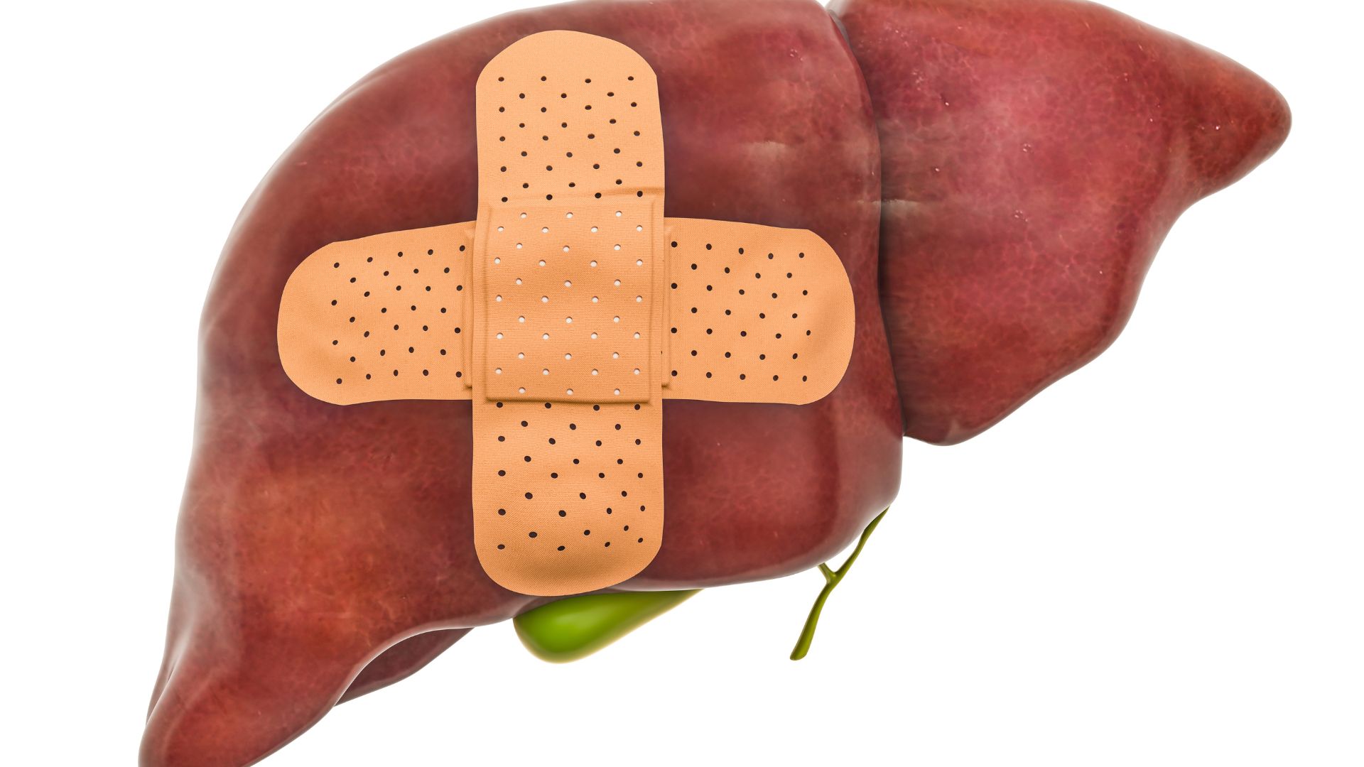 Bệnh nang gan có thể biến chứng gây chèn ép các cơ quan khác nếu nang lớn