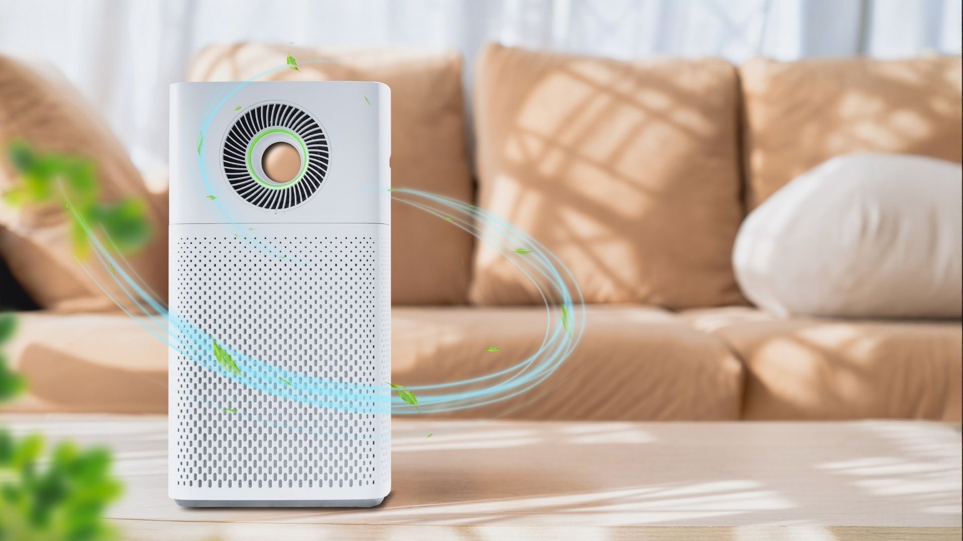 Sử dụng máy lọc không khí hoặc máy hút ẩm nếu cần thiết