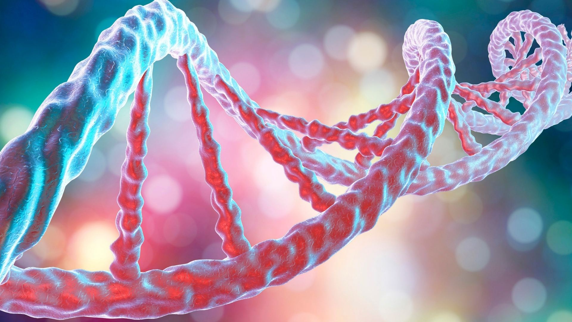 Cơ tim phì đại chủ yếu là bệnh lý có nền tảng di truyền