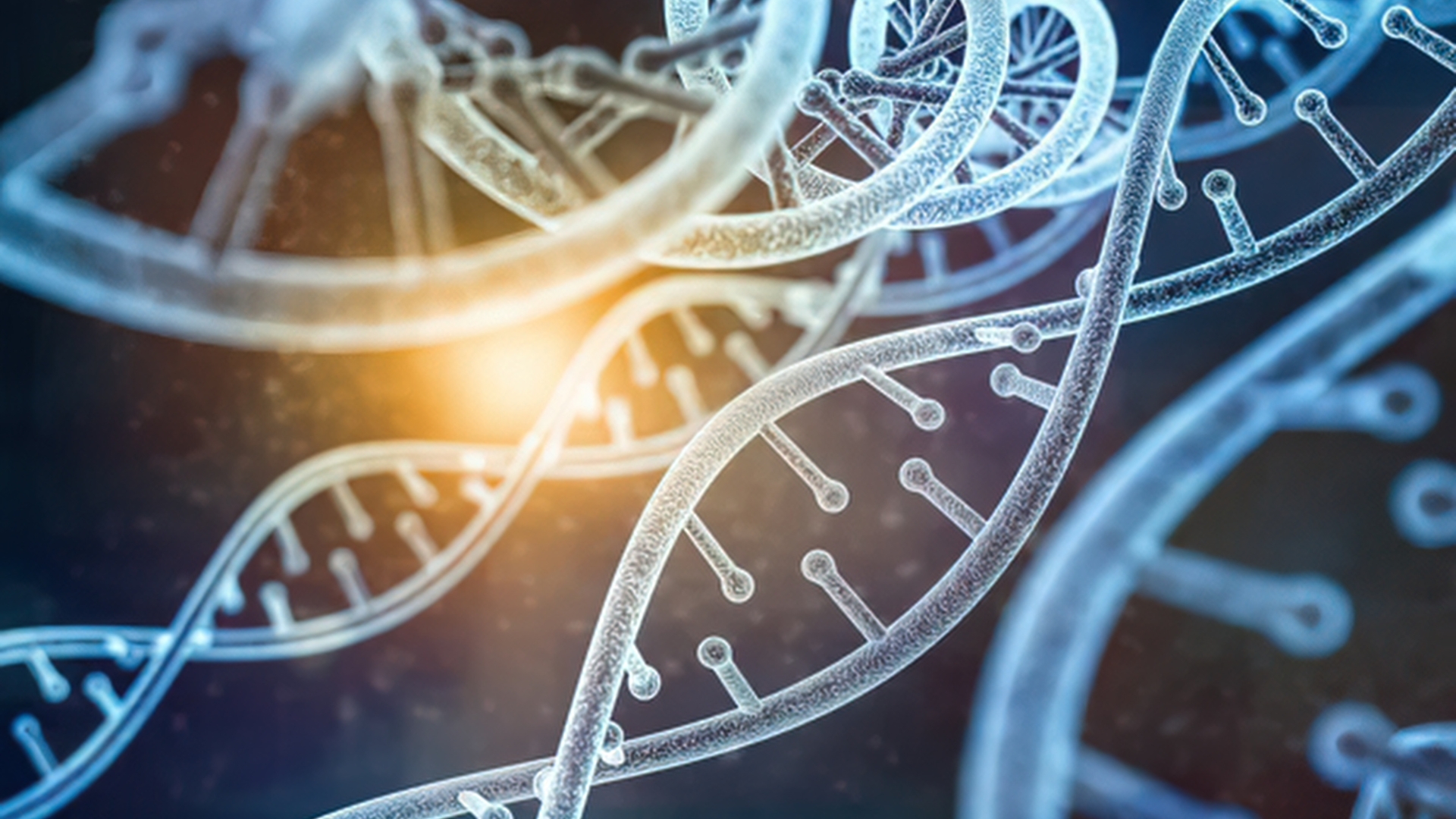 Nguyên nhân chính của Hemophilia là do đột biến gen quy định sản xuất yếu tố đông máu VIII hoặc yếu tố IX