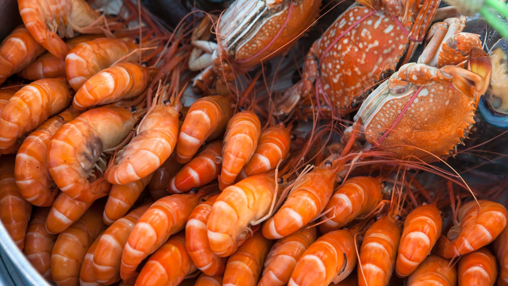 Hạn chế các loại thực phẩm có nguy cơ gây dị ứng cao như hải sản (tôm, cua, mực)