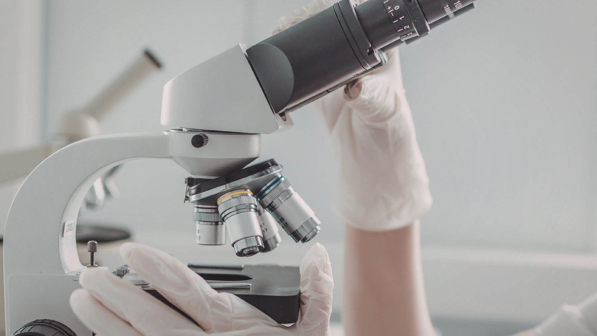 Mẫu bệnh phẩm được lấy từ dịch tiết hoặc mảng trắng ở bao quy đầu và nhỏ với dung dịch KOH 10% trước khi soi dưới kính hiển vi