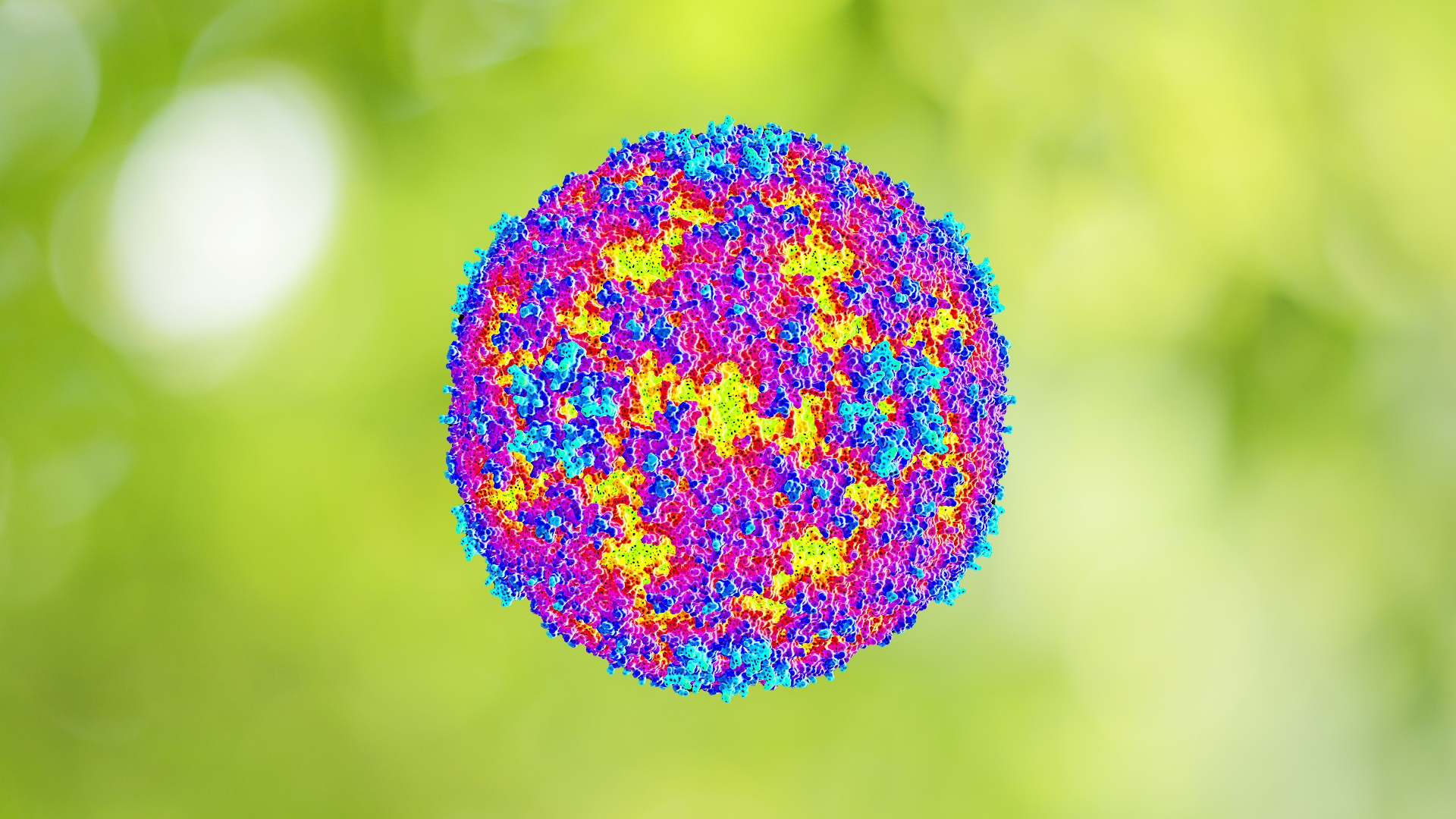 Enterovirus 71 (EV71) là chủng virus có khả năng gây bệnh nặng