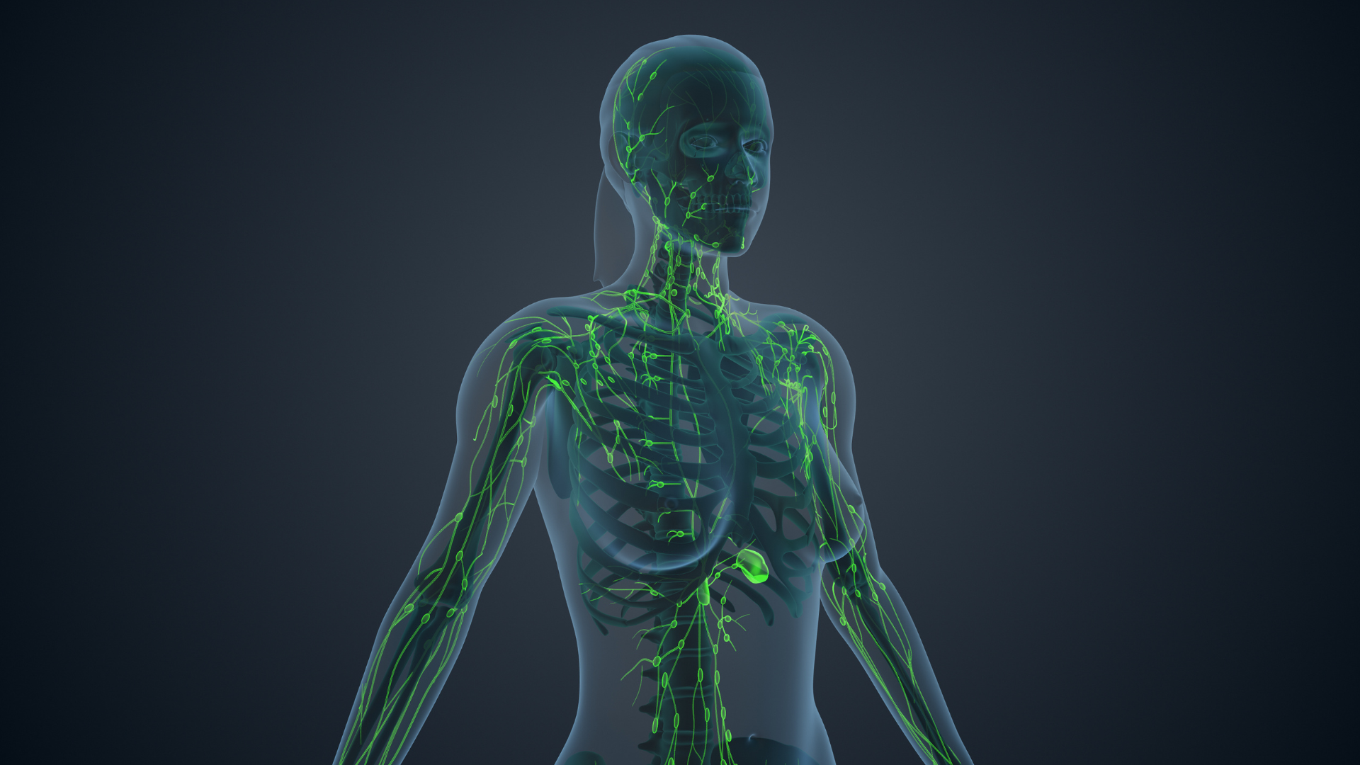 U nang bạch huyết có xuất hiện ở nhiều vị trí trong cơ thể