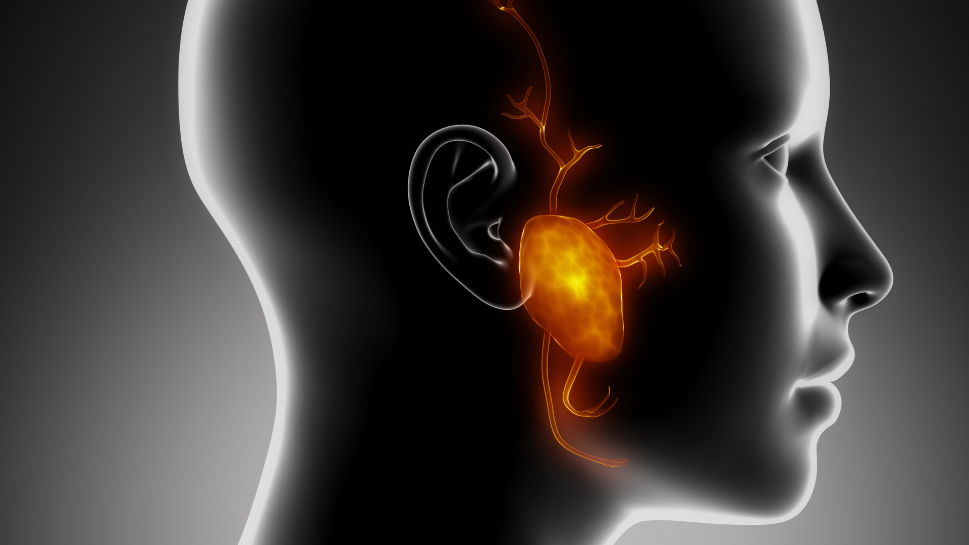 U nang dưới lưỡi xảy ra khi tuyến nước bọt bị tắc hoặc tổn thương