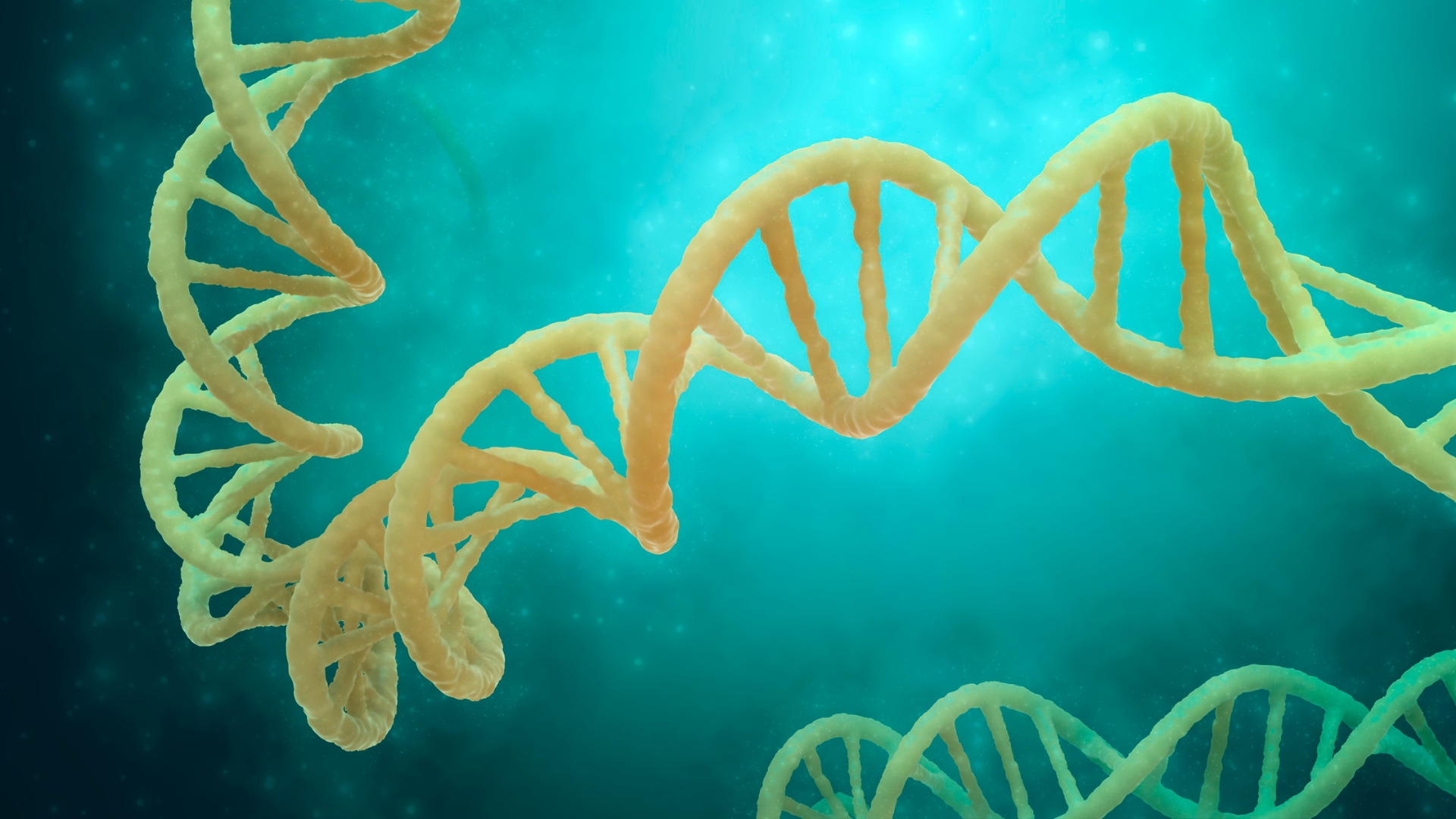 Một số u tuyến thượng thận có liên quan đến các đột biến gen hoặc hội chứng di truyền