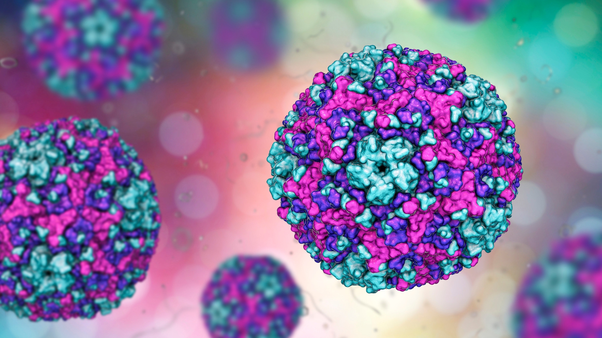 Coxsackievirus có khả năng gây tổn thương trực tiếp tế bào cơ tim hoặc kích hoạt phản ứng viêm của hệ miễn dịch