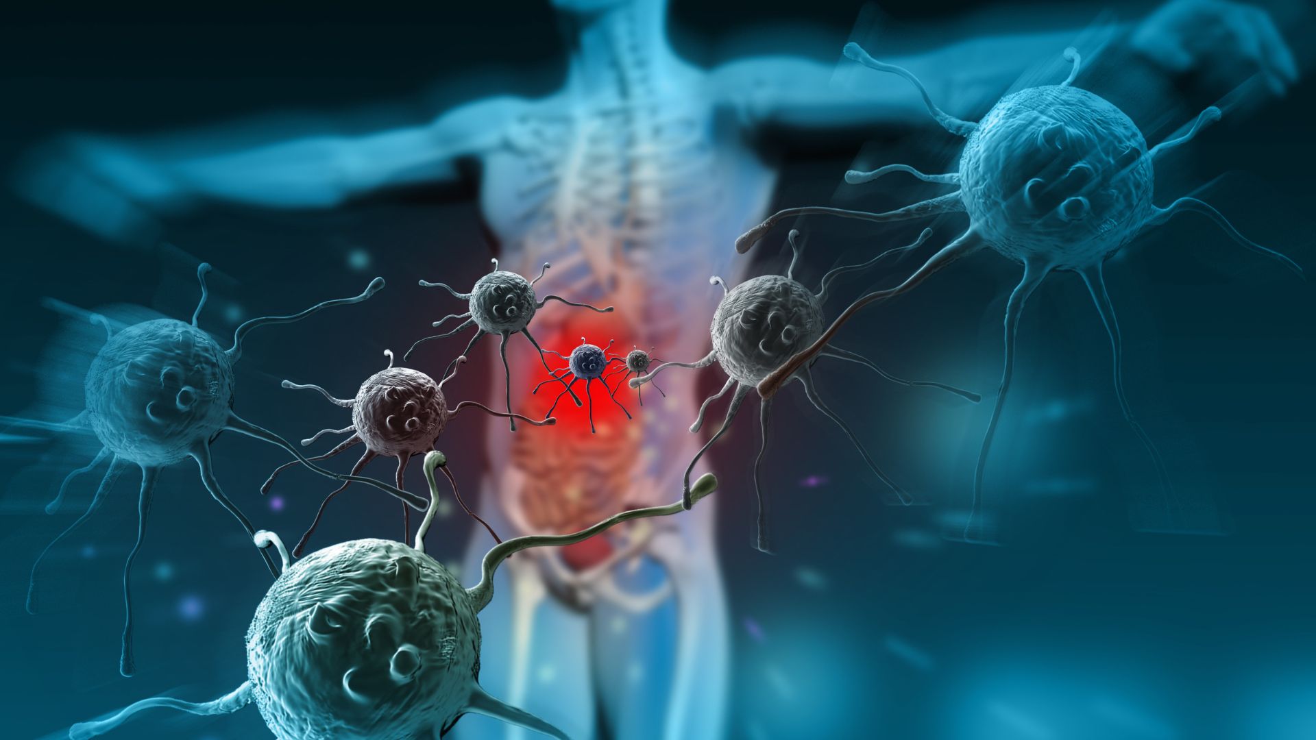 Hệ miễn dịch có thể tấn công nhầm vào lớp myelin của dây thần kinh thị giác, gây viêm và tổn thương