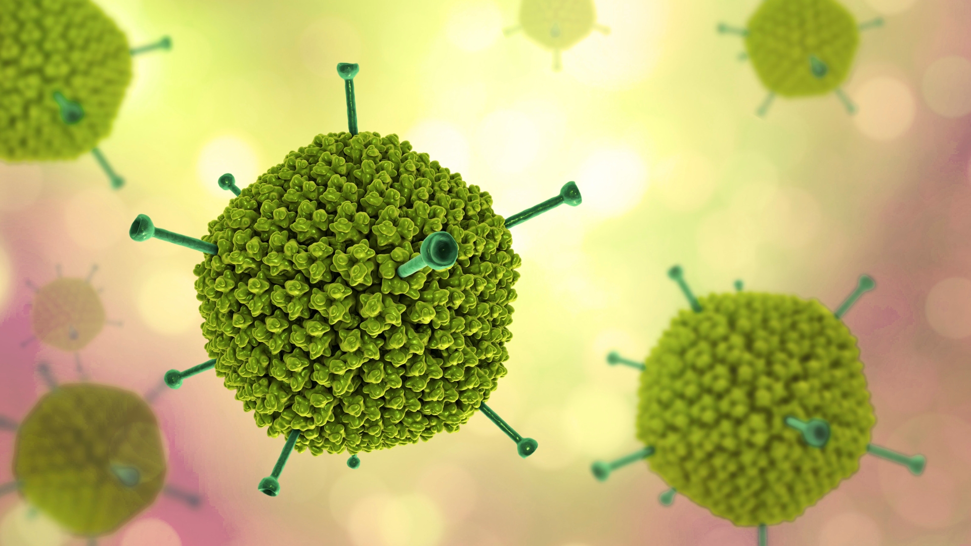 Adenovirus là một nguyên nhân gây viêm mũi họng cấp thường gặp