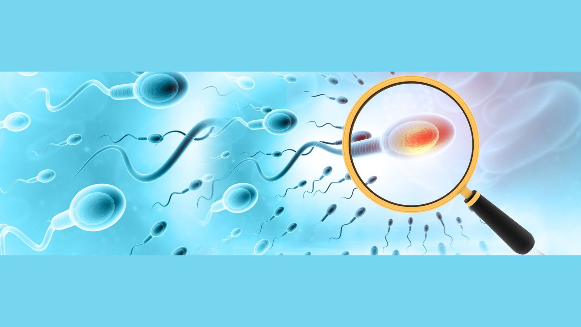 Bệnh gây ảnh hưởng đến chất lượng tinh trùng nếu không được điều trị